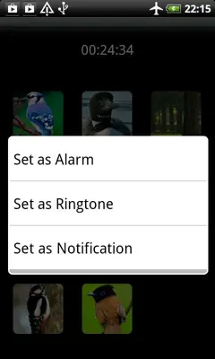 Sounds of Birds Ringtones android App screenshot 1